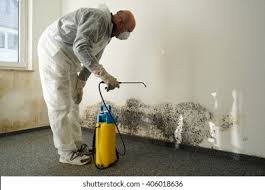 Best Environmental Consulting for Mold Prevention  in Lexington, MN